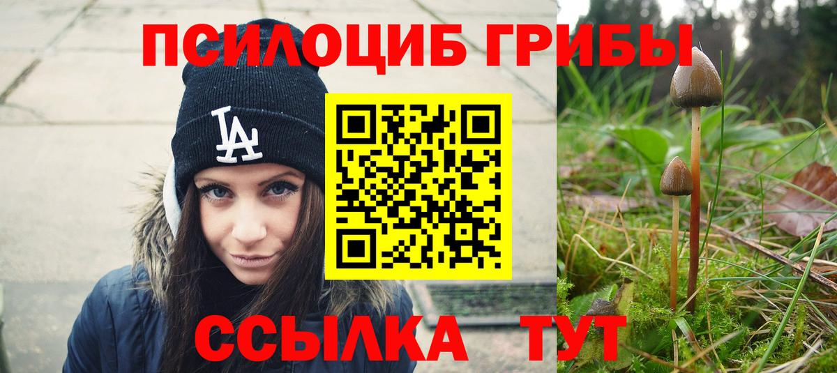 Уссурийск  Галлюциногенные грибы Psilocybine cubensis  купить  сайты  Галлюциногенные грибы Psilocybine cubensis  Вход с VPN 